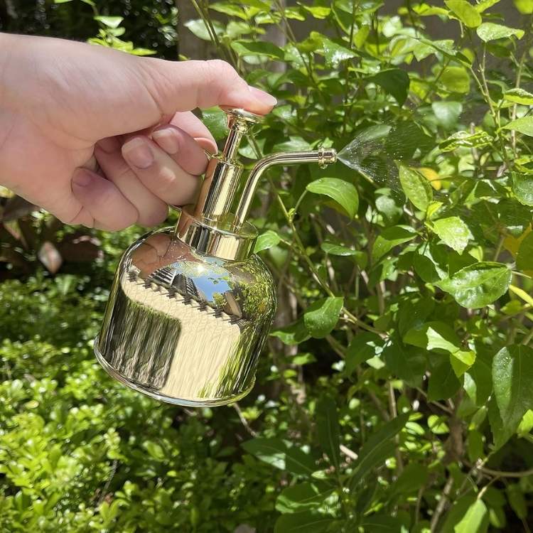 Premium Indoor Mister for Plants - Plant Mister - Wild Eye Vision