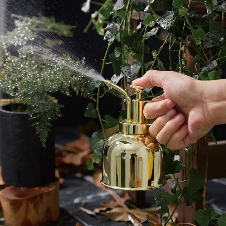 Premium Indoor Mister for Plants - Plant Mister - Wild Eye Vision