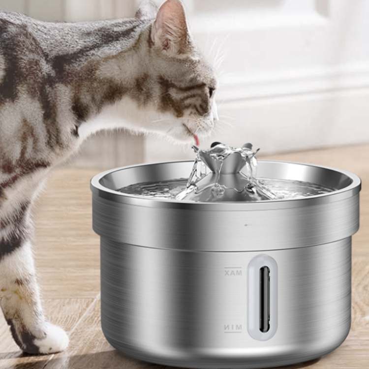 PureFlow Cat Drinking Smart Fountain - Cat Drinking Fountain - Wild Eye Vision