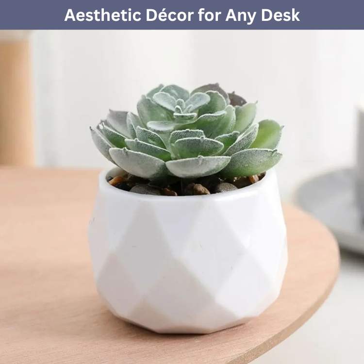 PureLeaf Mini Bonsai Decor - Artificial Plant - Wild Eye Vision