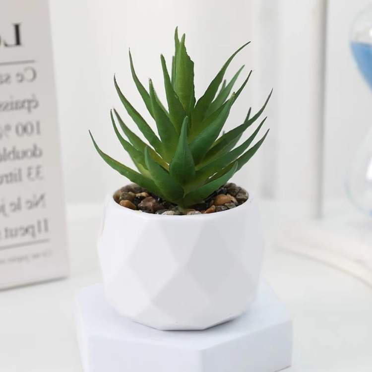 PureLeaf Mini Bonsai Decor - Artificial Plant - Wild Eye Vision