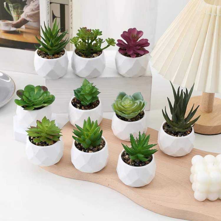 PureLeaf Mini Bonsai Decor - Artificial Plant - Wild Eye Vision