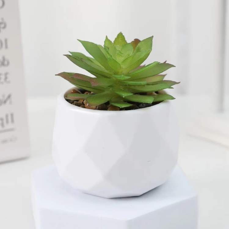 PureLeaf Mini Bonsai Decor - Artificial Plant - Wild Eye Vision