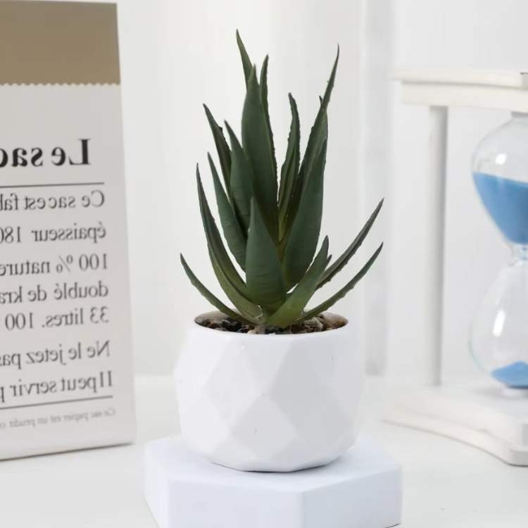 PureLeaf Mini Bonsai Decor - Artificial Plant - Wild Eye Vision