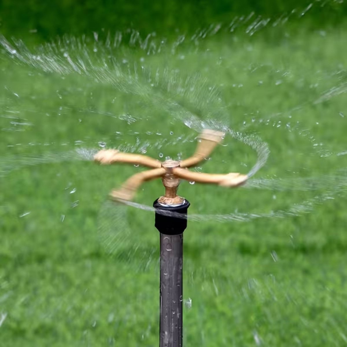 Rotating Brass Garden Water Sprayer - Garden Sprayer - Wild Eye Vision