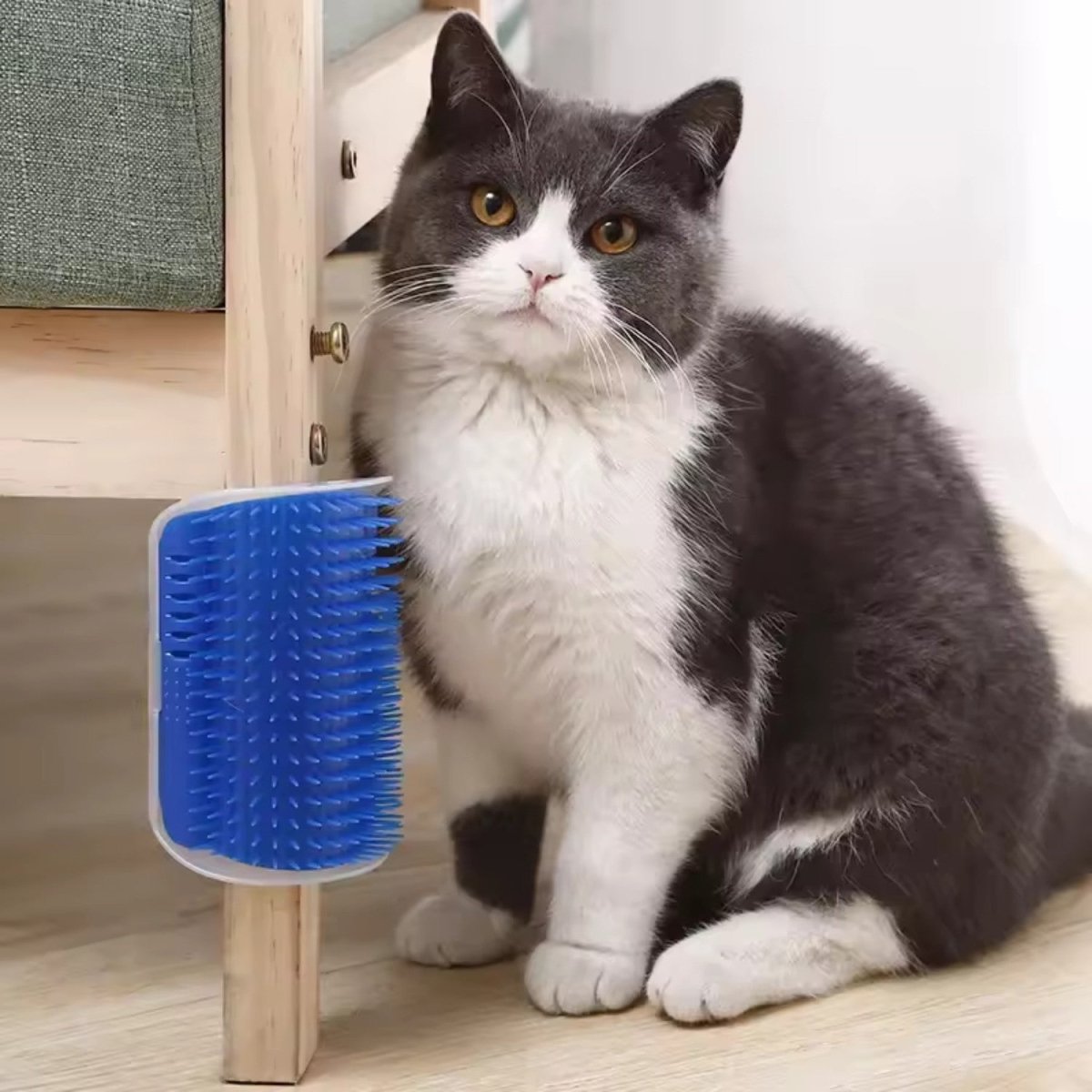 Self - Grooming Corner Cat Brush - Corner Cat Brush - Wild Eye Vision