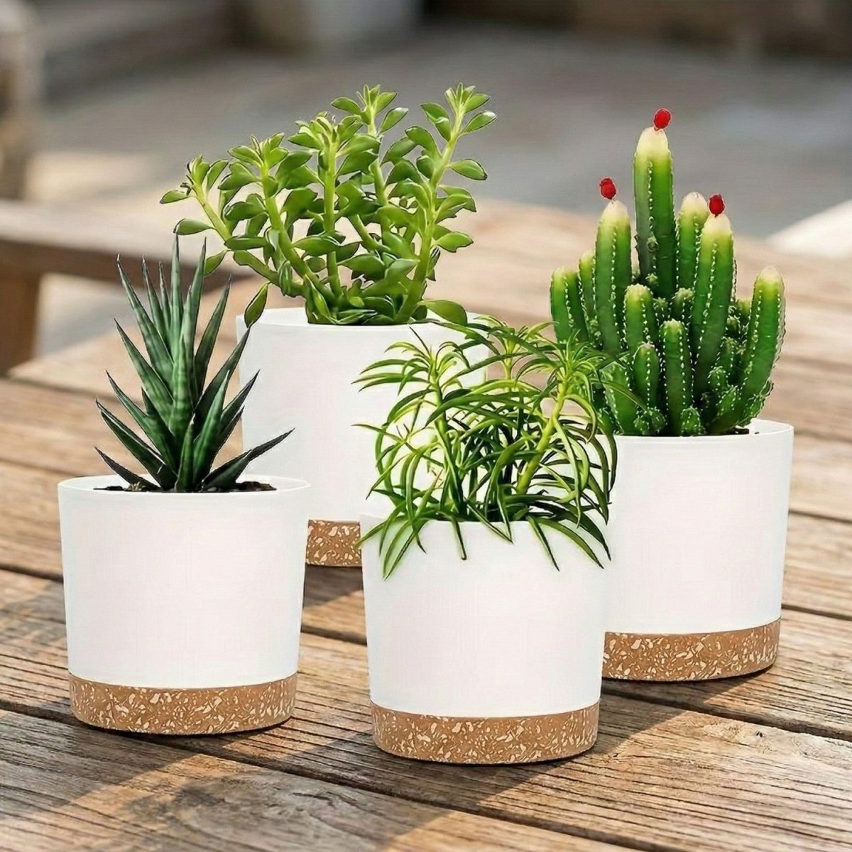 Set of 4 Modern Flower Pots with Drainage - Flowerpot - Wild Eye Vision