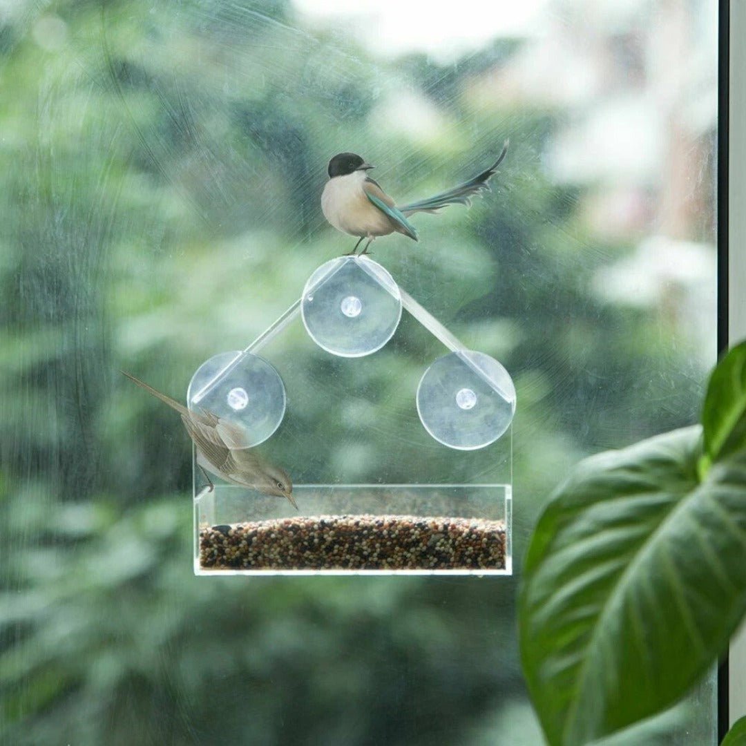 SkyPerch – Clear Window Bird Feeder with Suction Mount - Bird Feeder - Wild Eye Vision