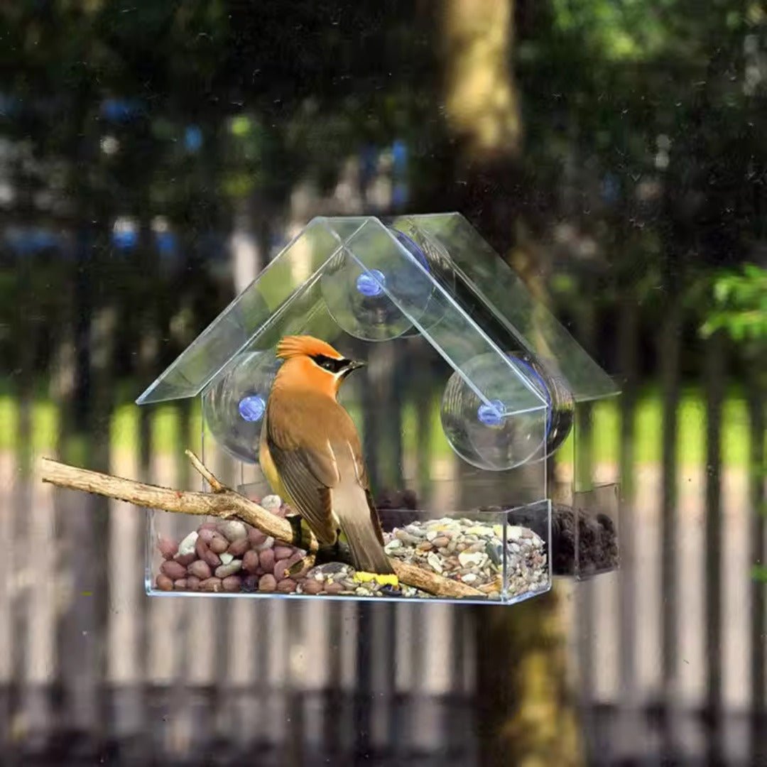 SkyPerch – Clear Window Bird Feeder with Suction Mount - Bird Feeder - Wild Eye Vision