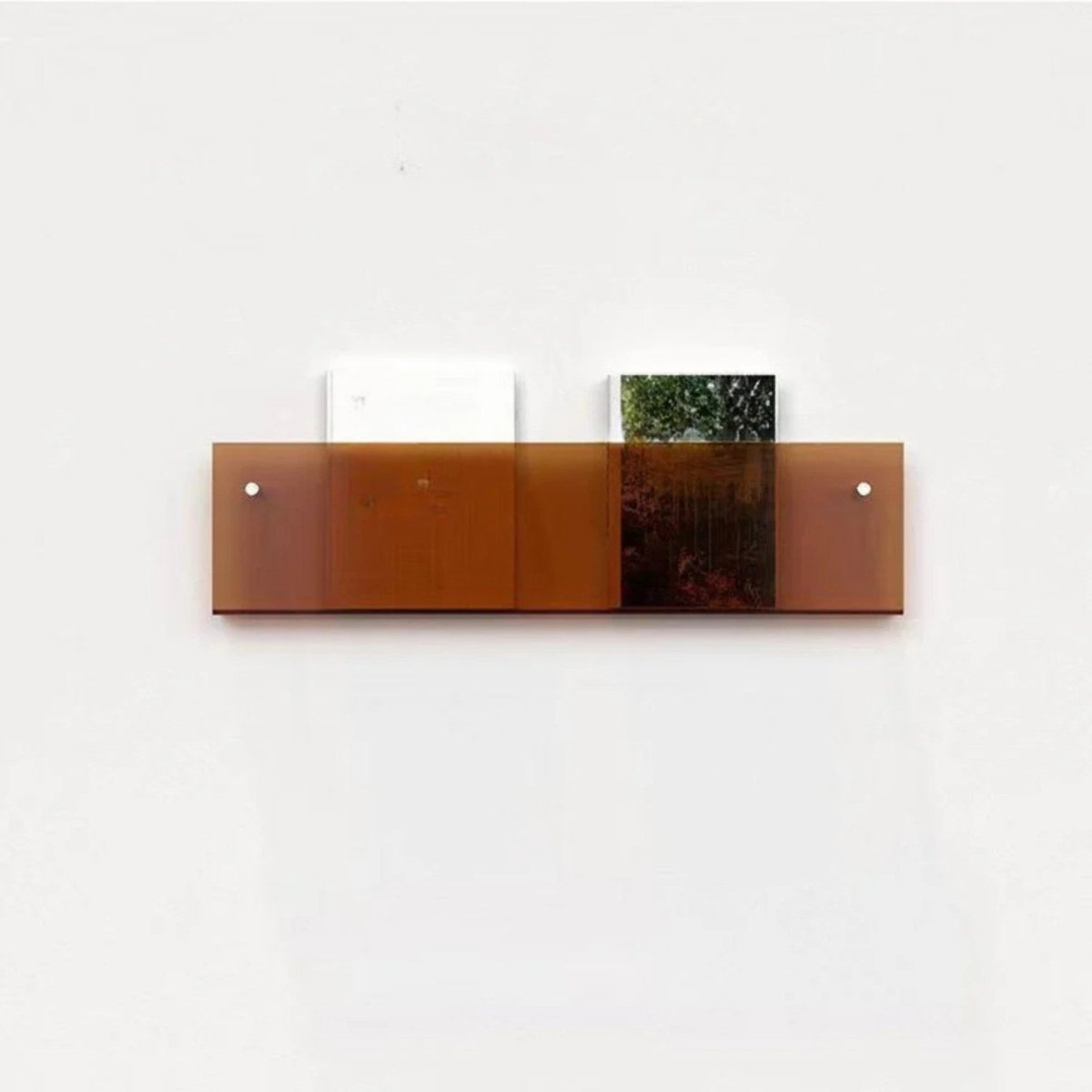 Sleek Clear Acrylic Magazine Wall Shelf - Wall Shelf - Wild Eye Vision