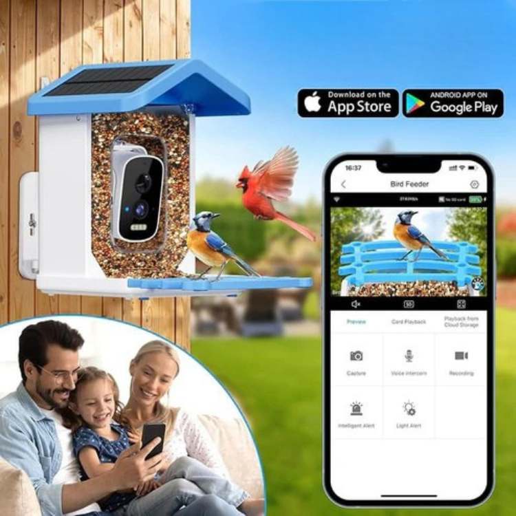 Smart Solar Camera Bird Feeder - Bird Feeder - Wild Eye Vision