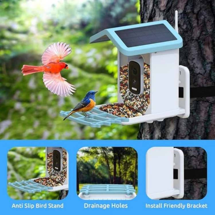 Smart Solar Camera Bird Feeder - Bird Feeder - Wild Eye Vision