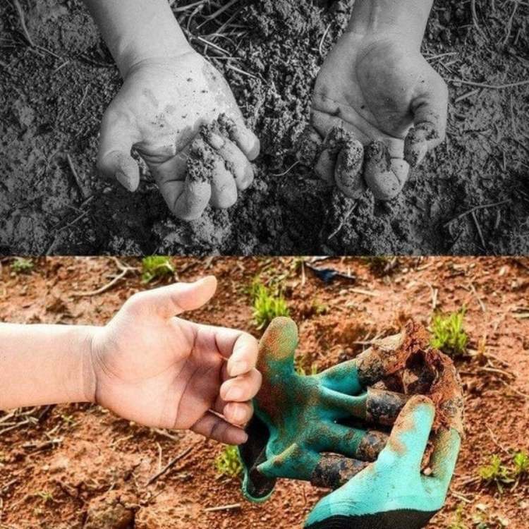 Versatile Gloves with Built - In Claws - Gardening Gloves - Wild Eye Vision