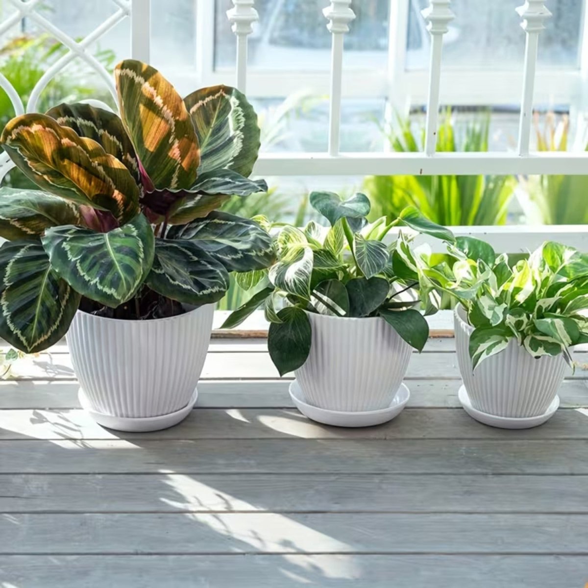 Vertical Striped Flower Pot with Saucer - Flowerpot - Wild Eye Vision